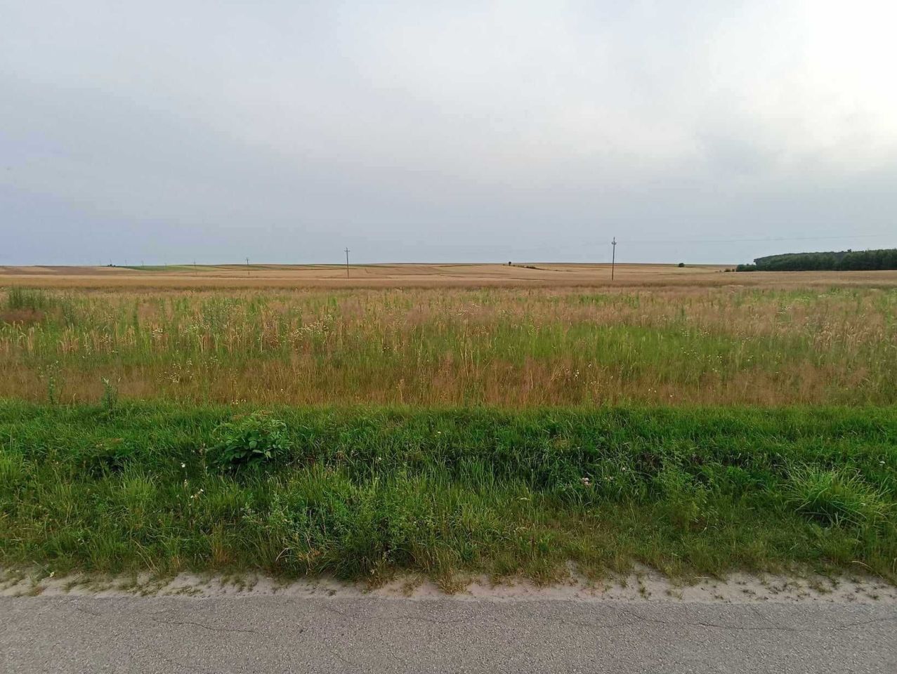 Działka budowlana Sielec. Zdjęcie 6