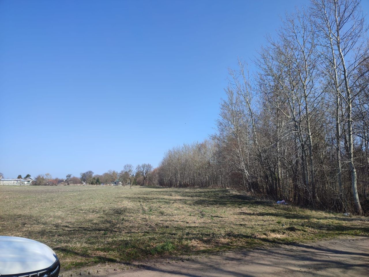 Działka siedliskowa Ostrowiec. Zdjęcie 4