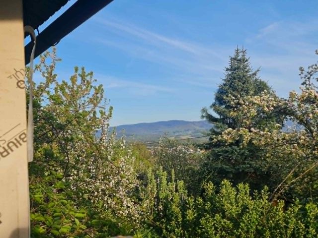 Działka rod Skoczów, Stalmacha. Zdjęcie 1