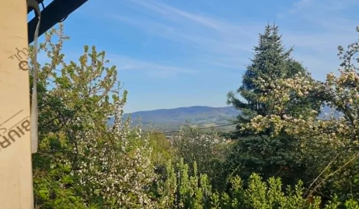 Działka rod Skoczów, Stalmacha