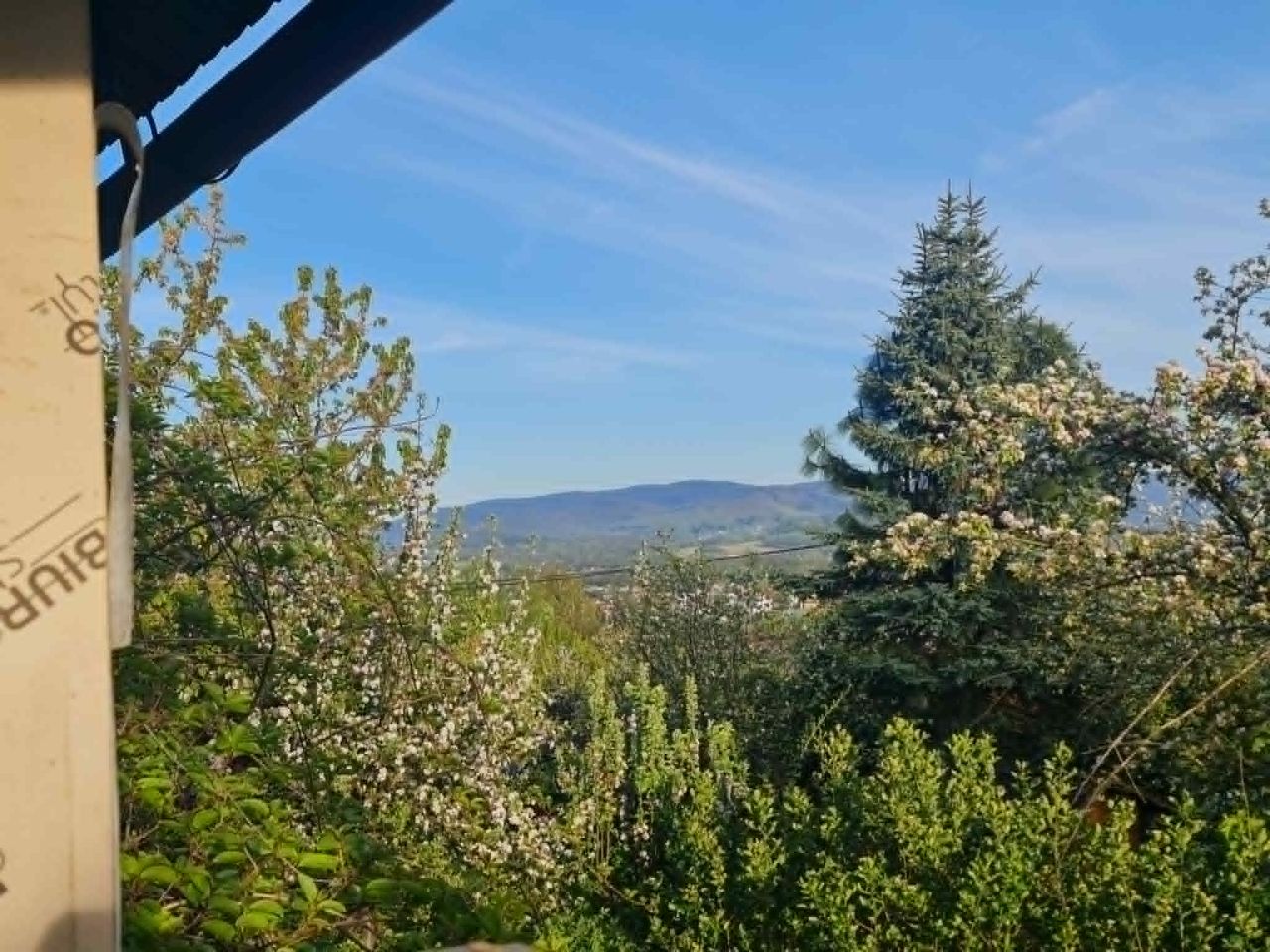 Działka rod Skoczów, Stalmacha. Zdjęcie 1