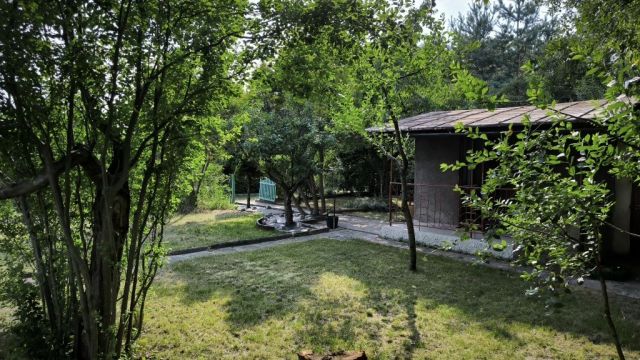 Działka rod Łódź Górna, ul. Świętojańska. Zdjęcie 1