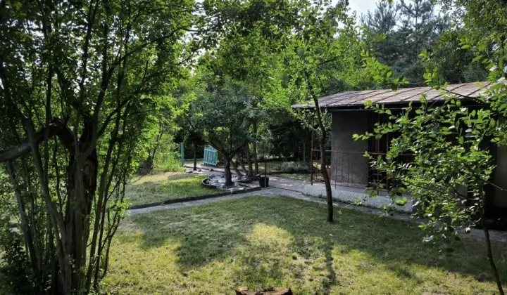 Działka rod Łódź Górna, ul. Świętojańska