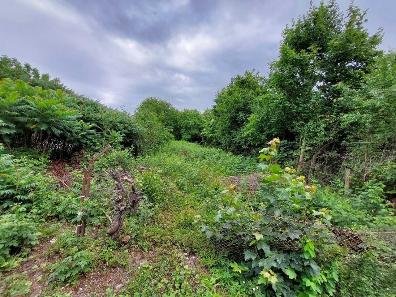 Działka budowlana Siedlce Centrum, ul. Kazimierza Przerwy-Tetmajera