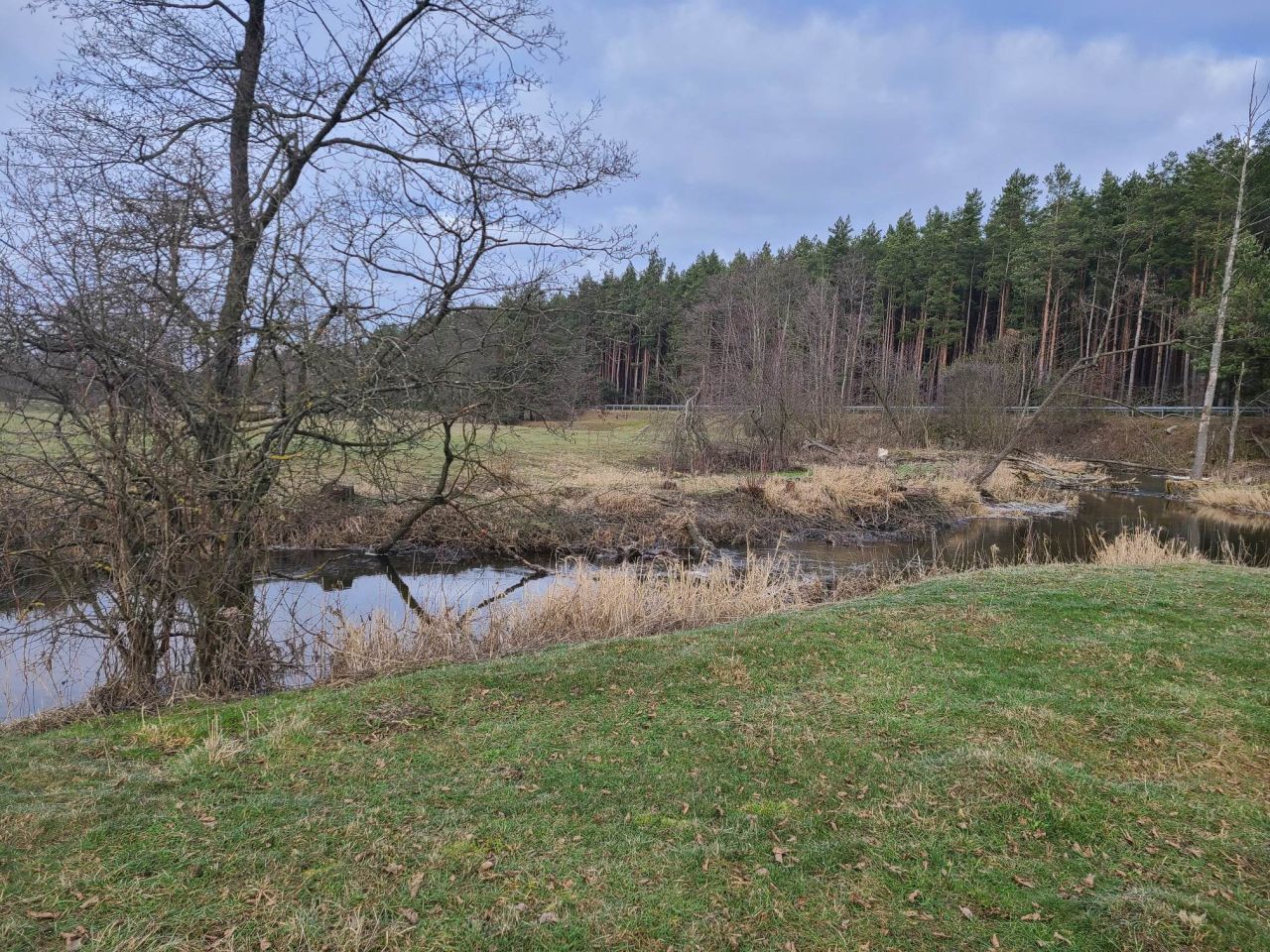 Działka inna Pełch. Zdjęcie 6