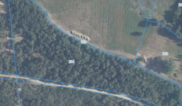 Działka leśna Kąty-Wielgi