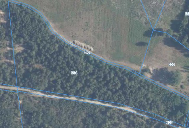 Działka leśna Kąty-Wielgi