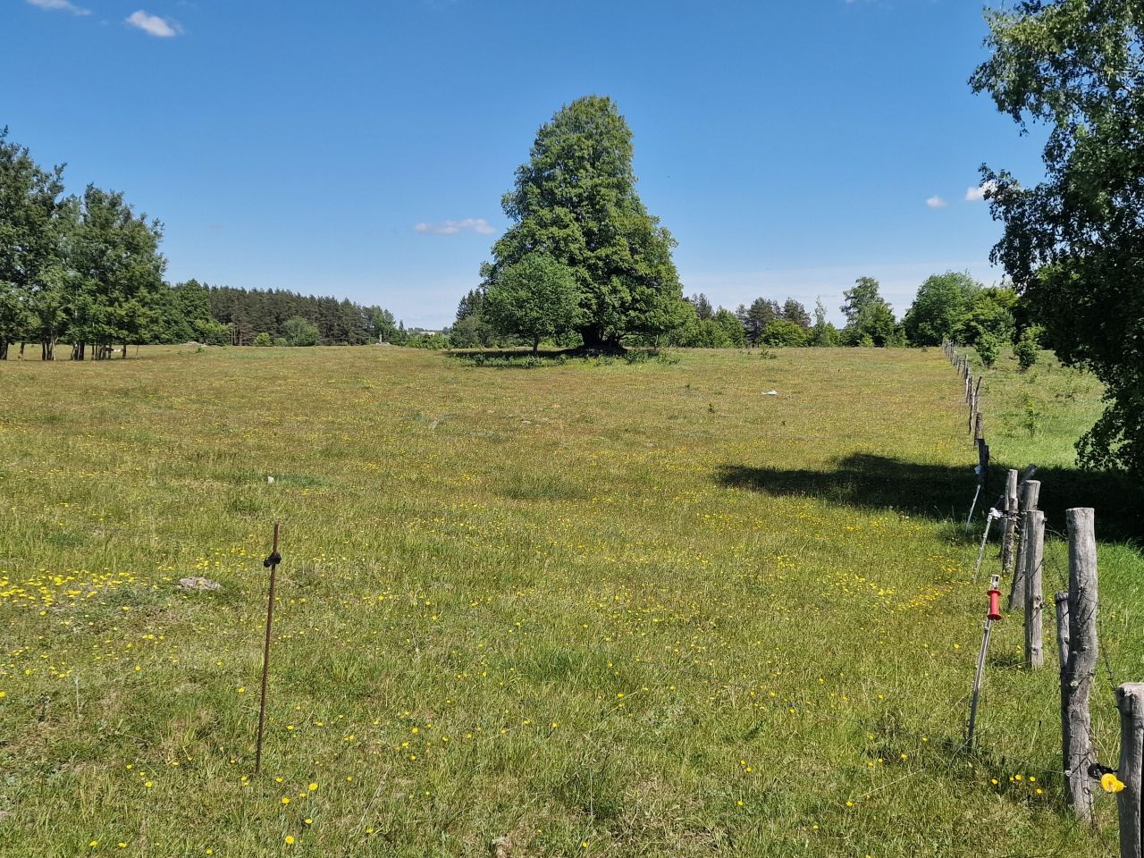 Działka inwestycyjna Malesowizna. Zdjęcie 2