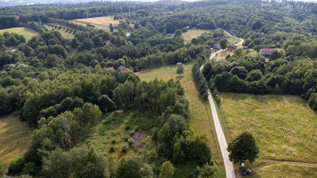 Działka rolna Nowy Borek. Zdjęcie 8