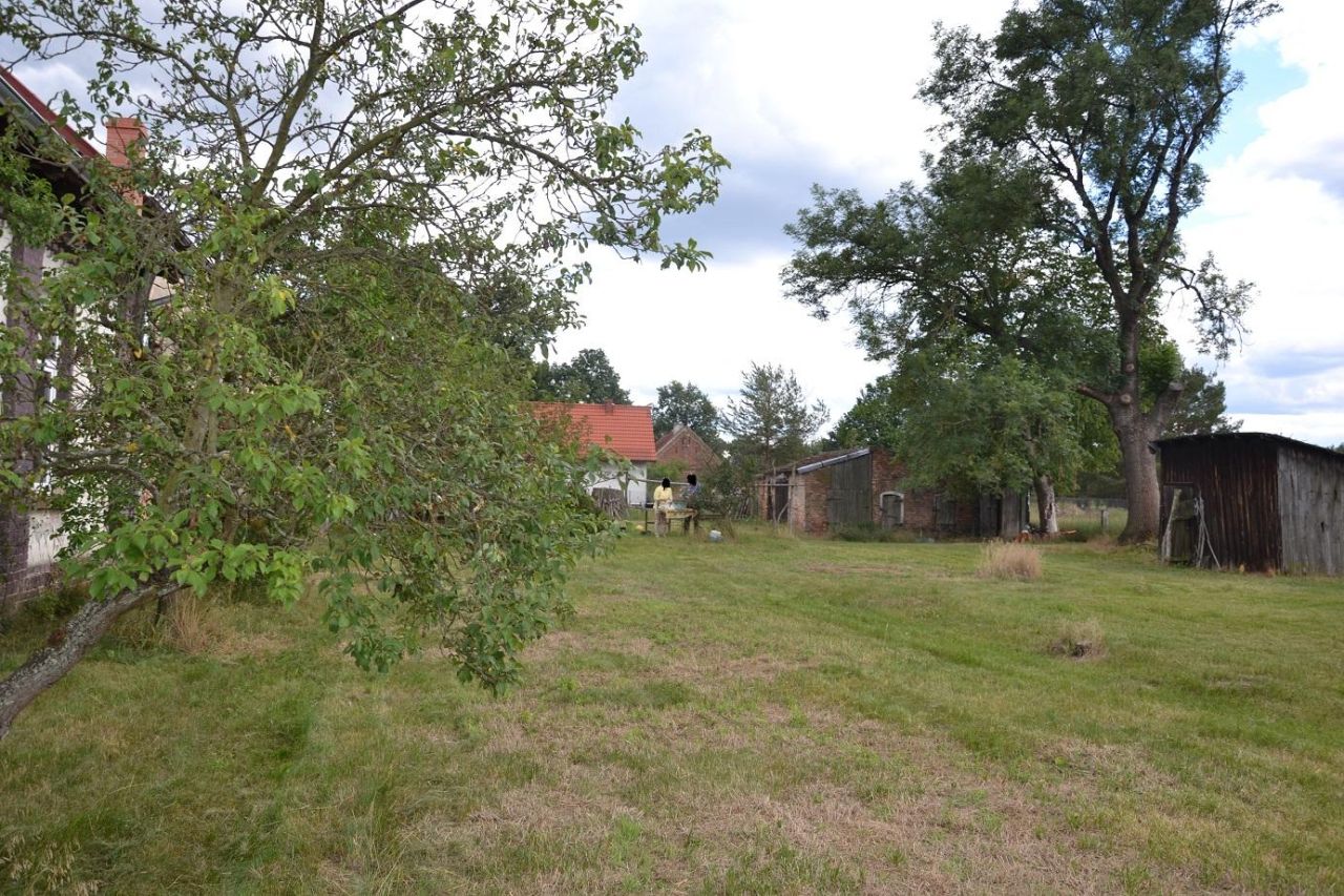 Zdjęcie 8