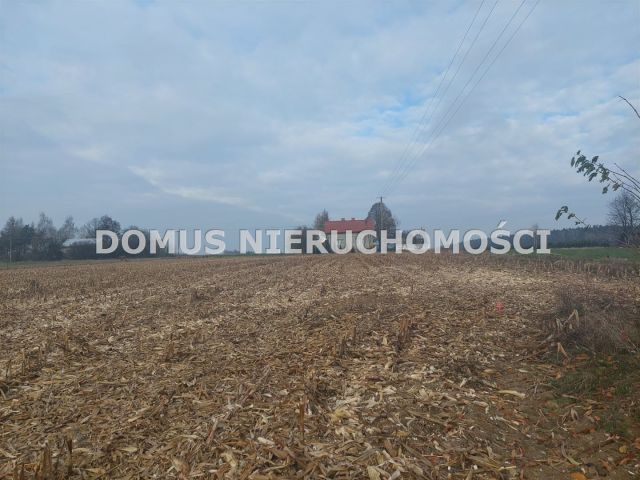 Działka budowlana Tworzyjanki. Zdjęcie 5