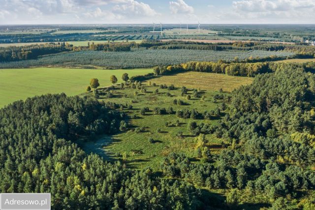 Działka budowlana Wiklino. Zdjęcie 1