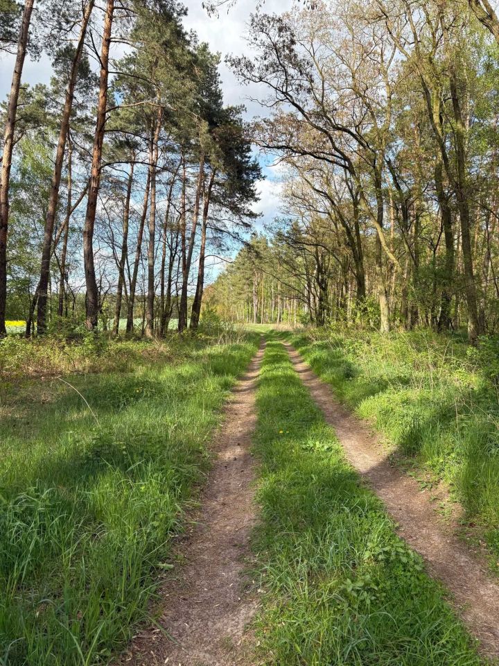 Działka budowlana Jabłkowo. Zdjęcie 6