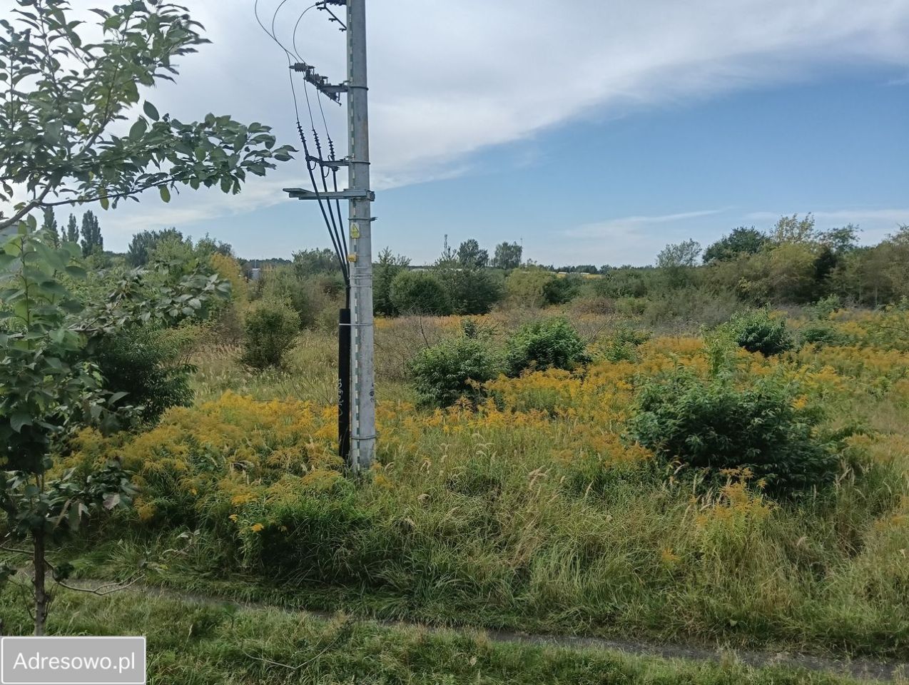 Działka rolna Police. Zdjęcie 5