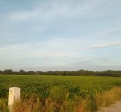 Działka rolno-budowlana Kosewo, ul. Lipnicka. Zdjęcie 3