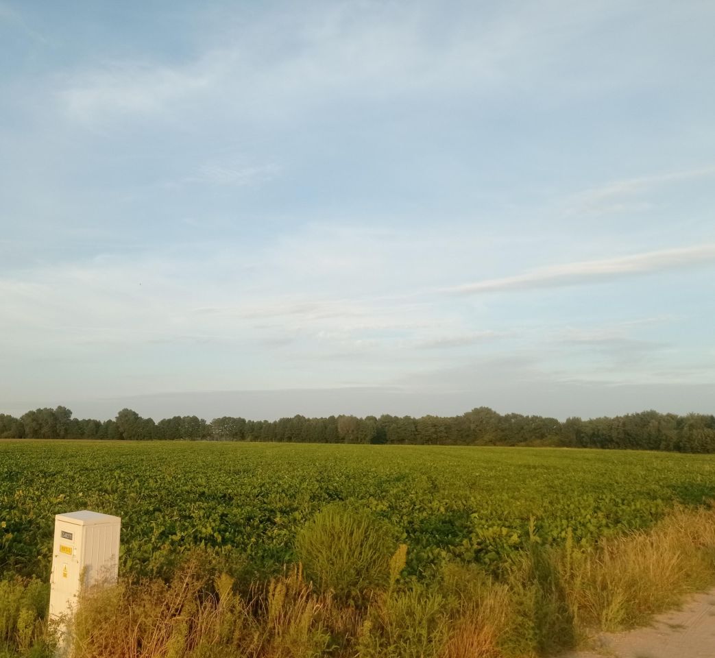 Działka rolno-budowlana Kosewo, ul. Lipnicka. Zdjęcie 4