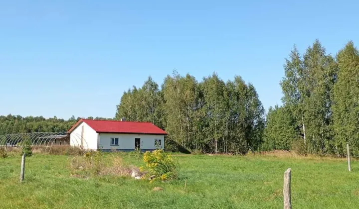 dom wolnostojący Budzewo