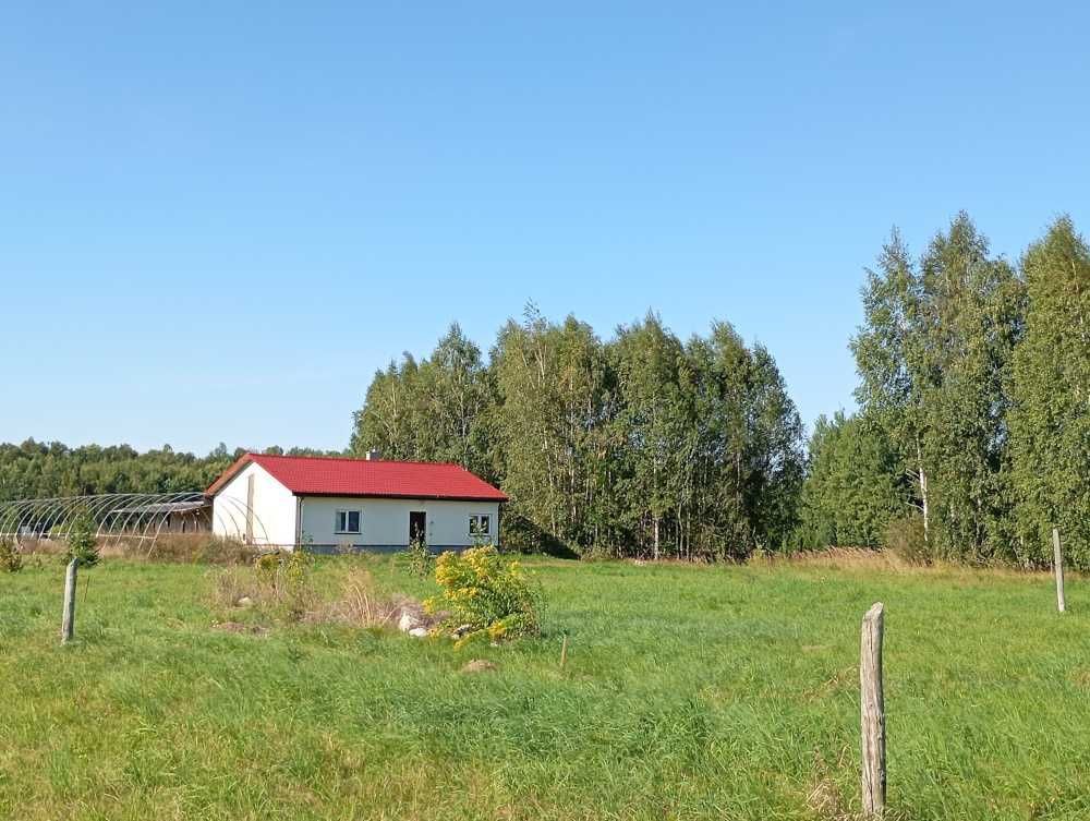 dom wolnostojący Budzewo. Zdjęcie 1