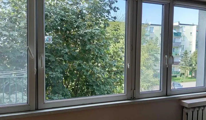 Mieszkanie 2-pokojowe Brzeziny
