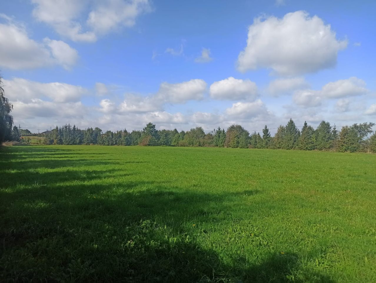 Działka rolno-budowlana Jasienica Wygrabowice. Zdjęcie 7
