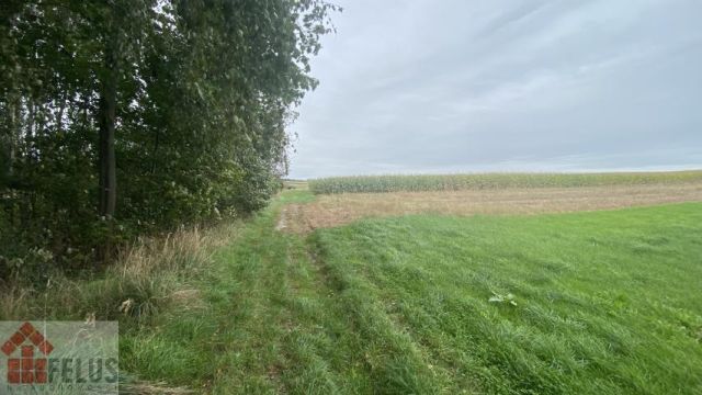 Działka rolna Czułówek. Zdjęcie 6