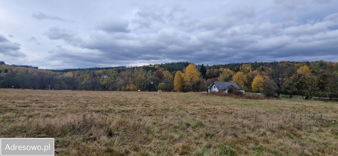 Działka budowlana Chocieszów. Zdjęcie 10
