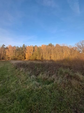 Działka budowlana Dzierzbin. Zdjęcie 3