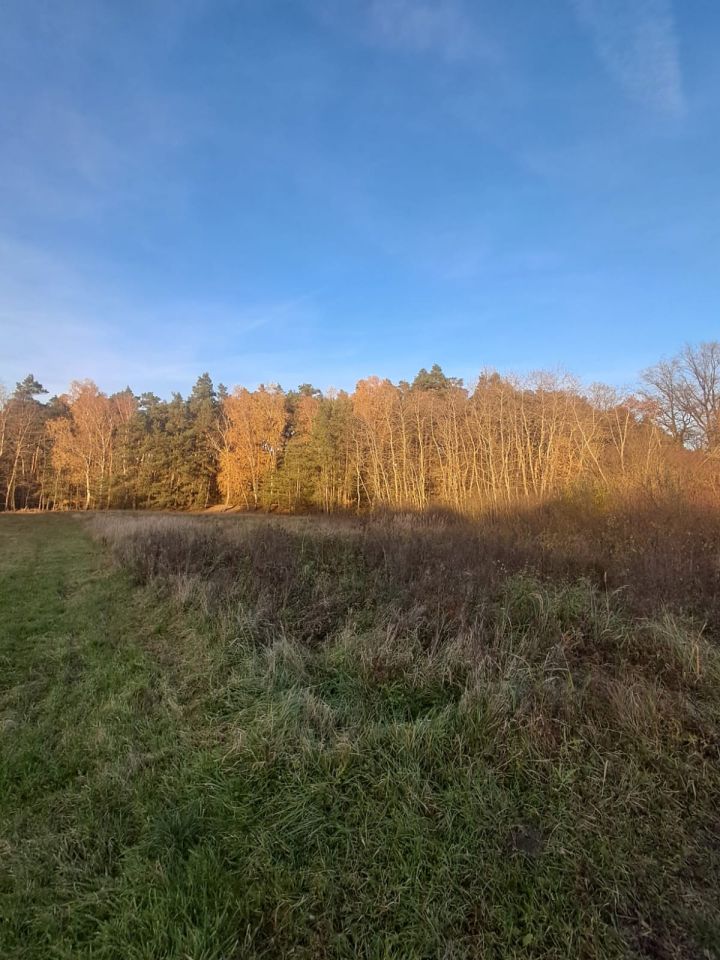 Działka budowlana Dzierzbin. Zdjęcie 3