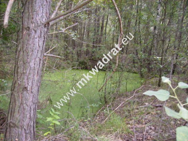 Działka budowlana Marynin. Zdjęcie 3