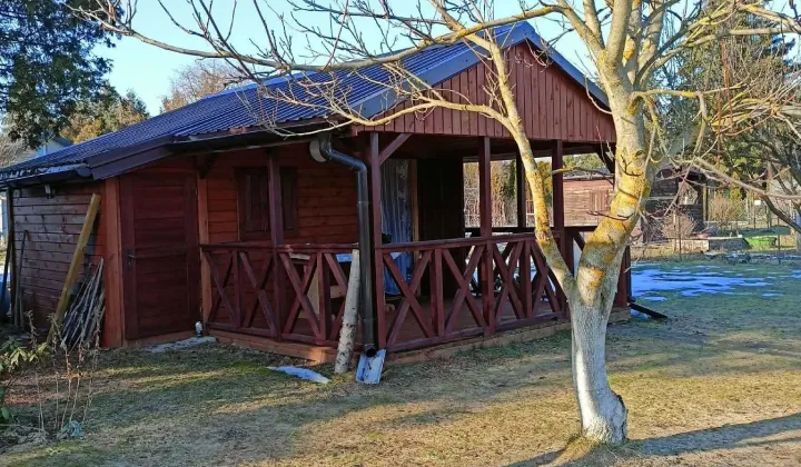 Działka rod Ciechanów, ul. Gostkowska