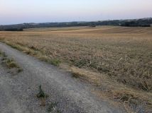 Działka rolna Zagorzyce. Zdjęcie 4