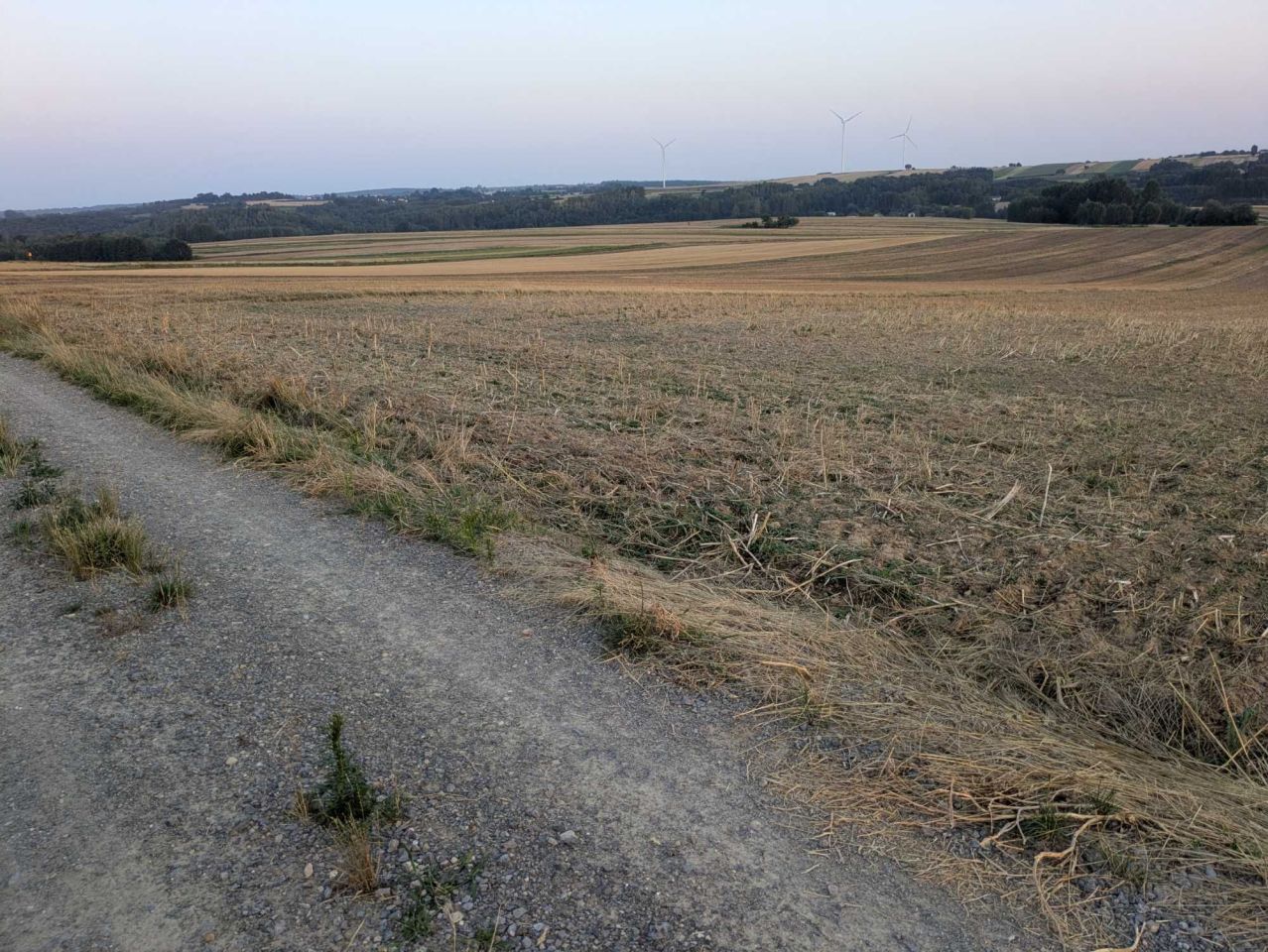 Działka rolna Zagorzyce. Zdjęcie 5