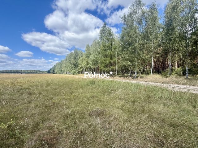 Działka budowlana Trzęsów. Zdjęcie 10
