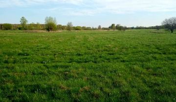 Działka rolno-budowlana Chodów