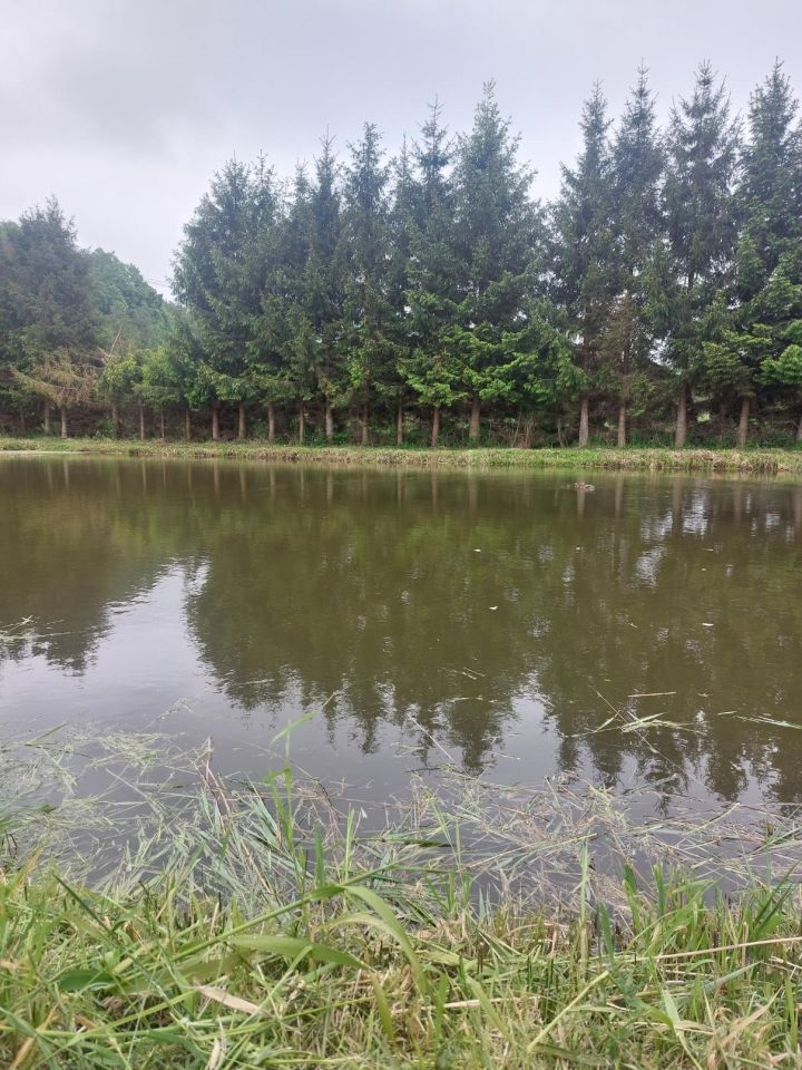 Działka budowlana Suchacz, ul. Portowa. Zdjęcie 19