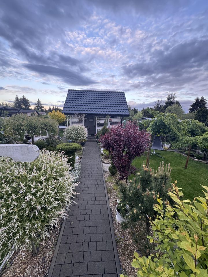 Działka rod Włocławek Lisek, ul. Sasankowa