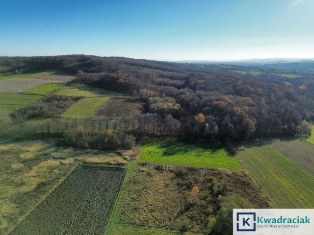 Działka rolna Podniebyle. Zdjęcie 2