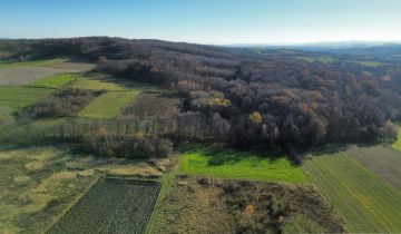 Działka rolna Podniebyle