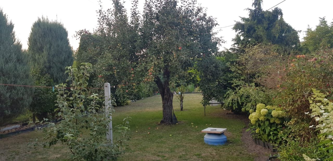 dom wolnostojący, 1 pokój Gostynin Gostynin-Kolonia, ul. 18 Stycznia. Zdjęcie 6