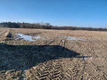 Działka rolna Ulejno. Zdjęcie 1