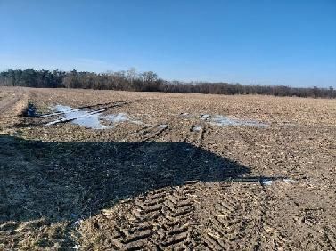 Działka rolna Ulejno. Zdjęcie 2