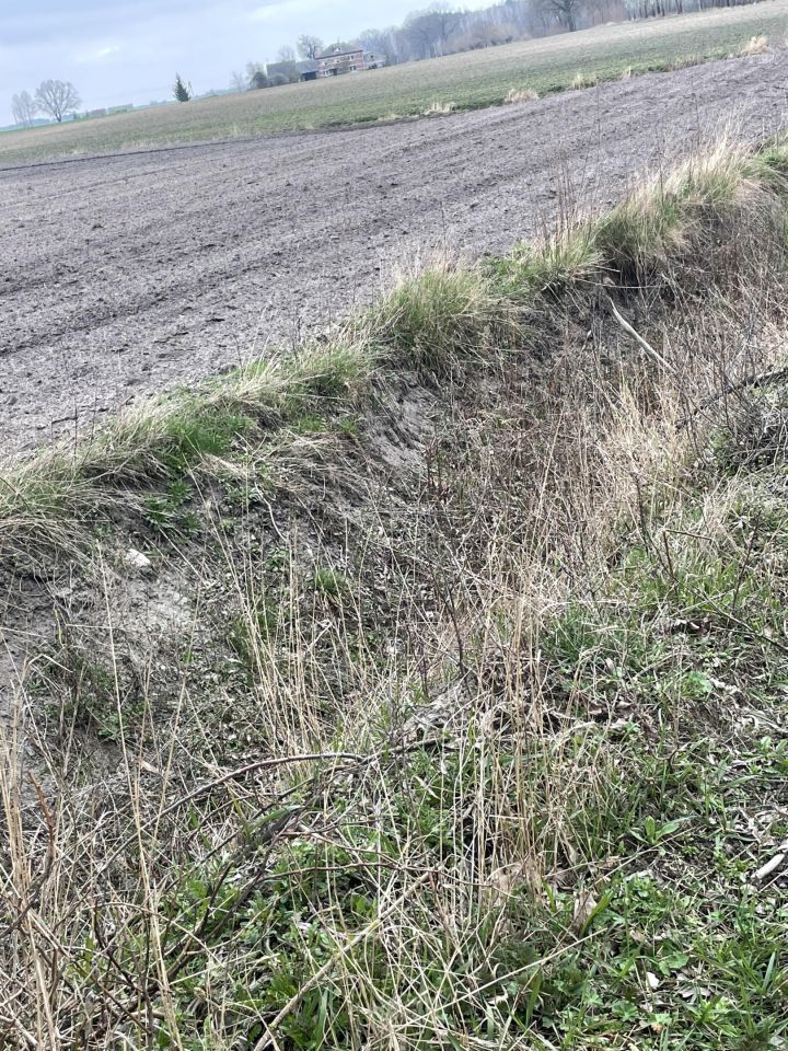 Działka rolno-budowlana Sienno. Zdjęcie 7