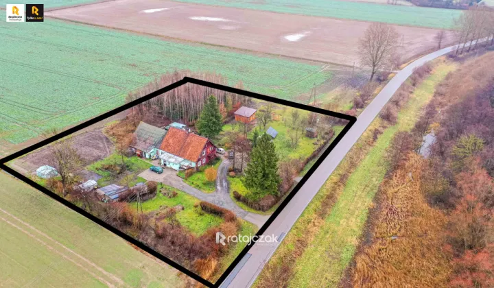 Działka inwestycyjna Sztutowo