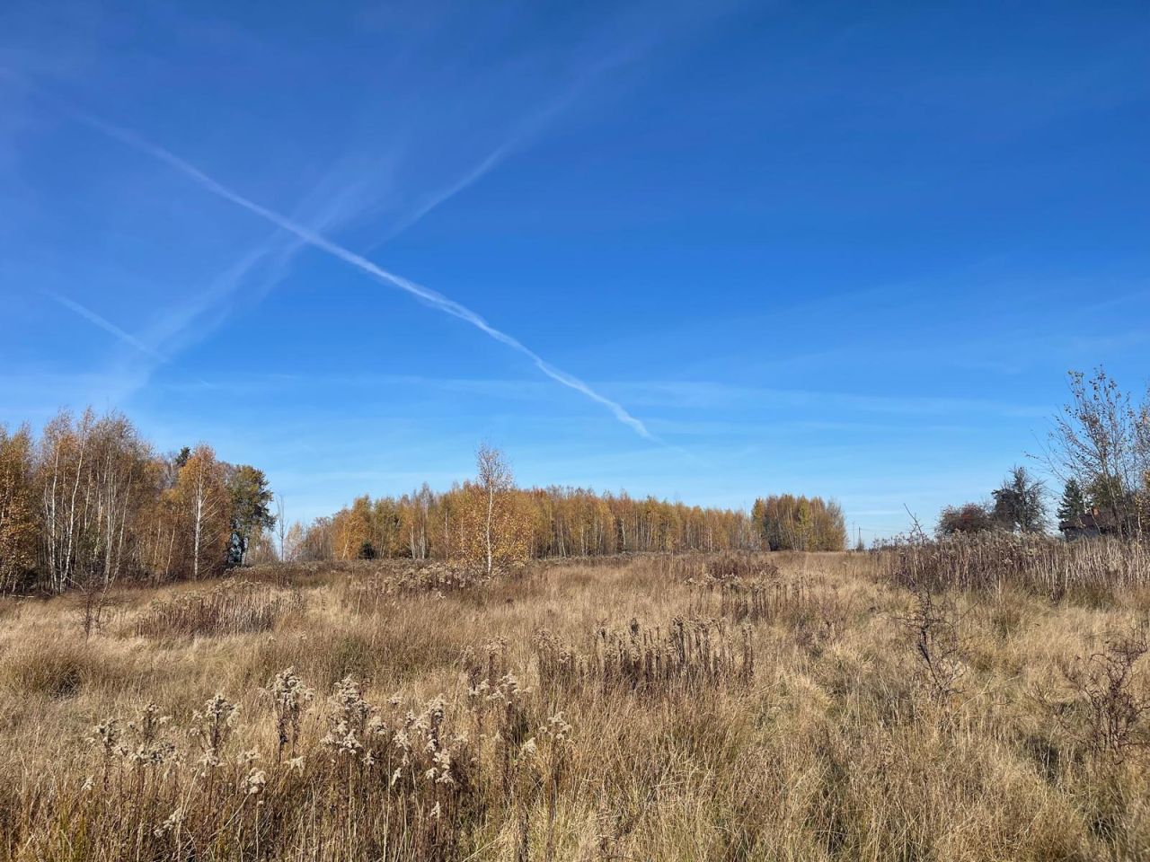 Działka budowlana Iwowe. Zdjęcie 4