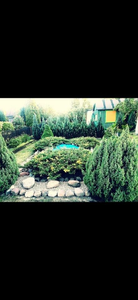 Działka rod Głogów, ul. Rudnowska. Zdjęcie 2