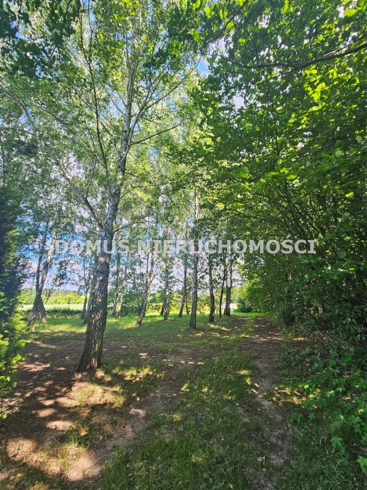 Działka rolna Królewo. Zdjęcie 8