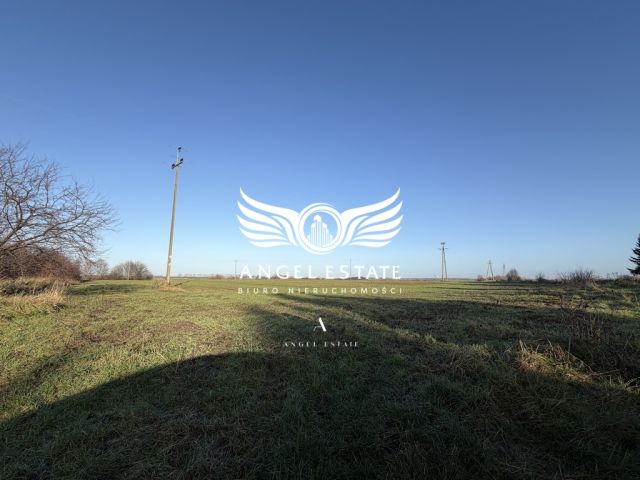 Działka rolna Trzebiatów. Zdjęcie 3