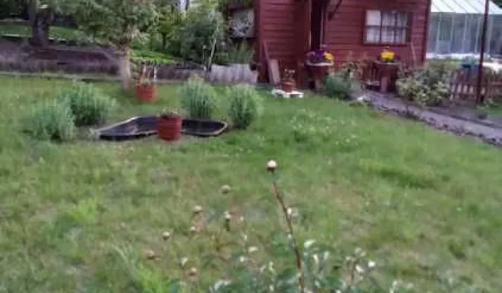 Działka rod Starogard Gdański