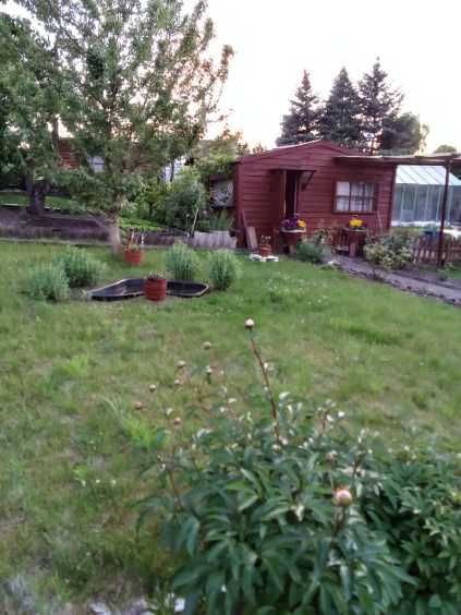 Działka rod Starogard Gdański. Zdjęcie 1