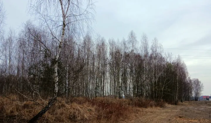 Działka budowlana Koryta